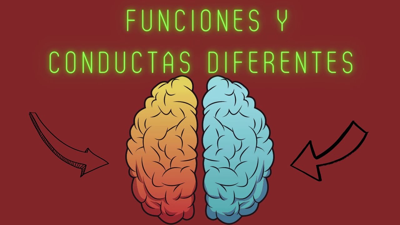 a que afecta el lado derecho del cerebro