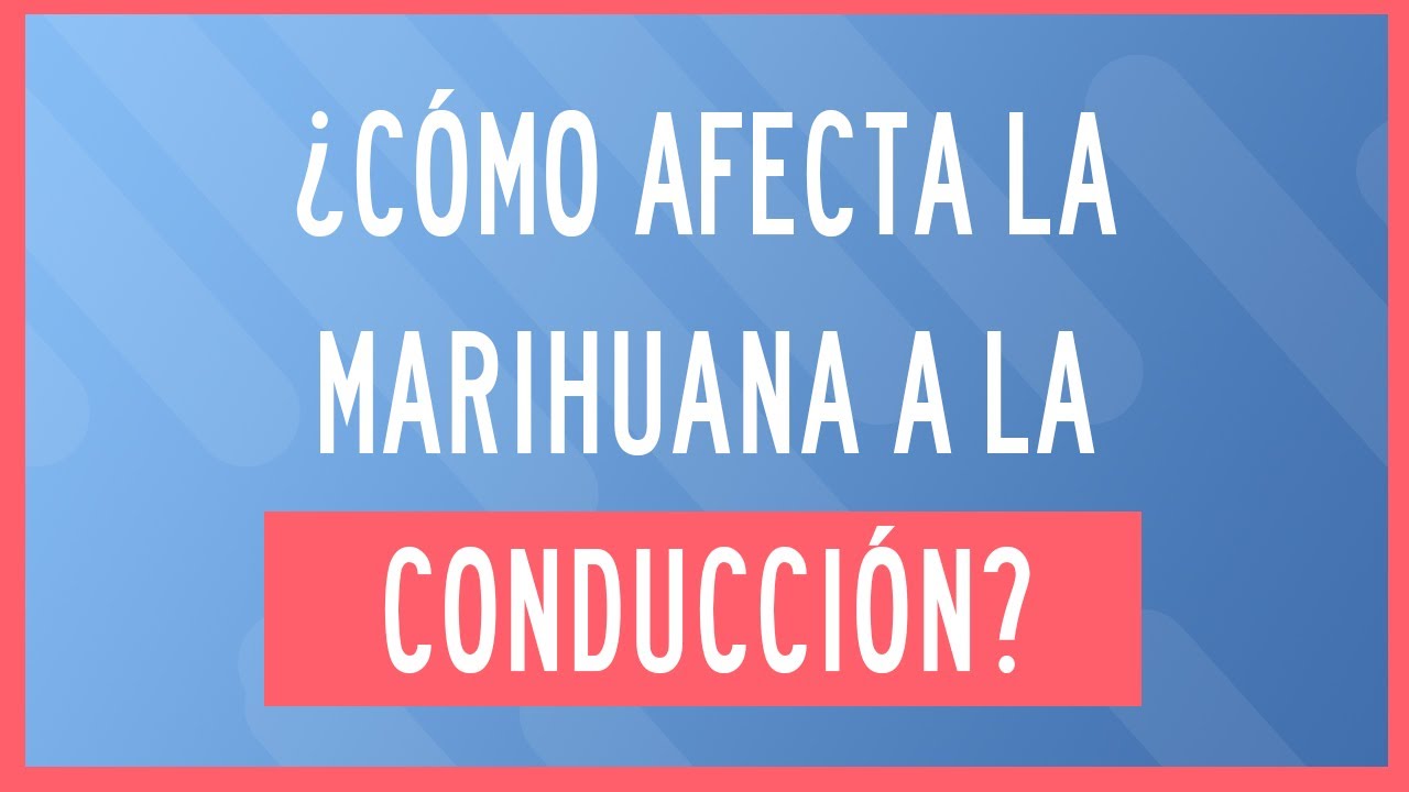 cómo afecta el cannabis a la conducción