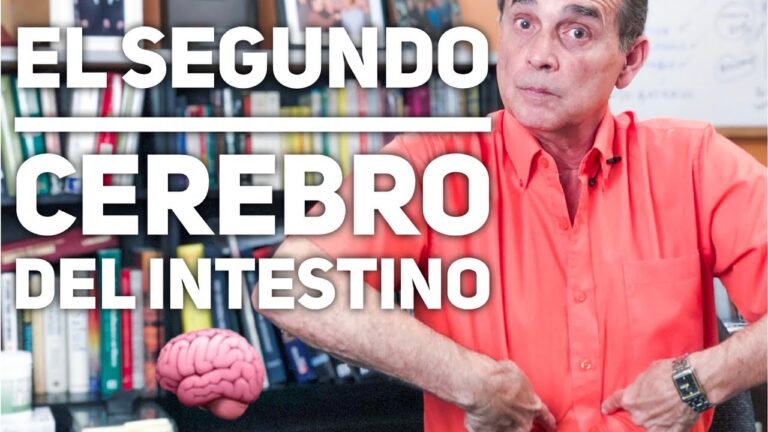 como relajar el segundo cerebro
