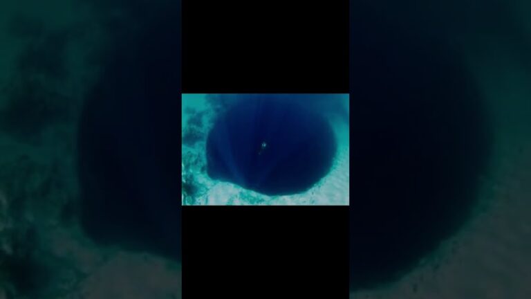 como se llama el miedo al mar