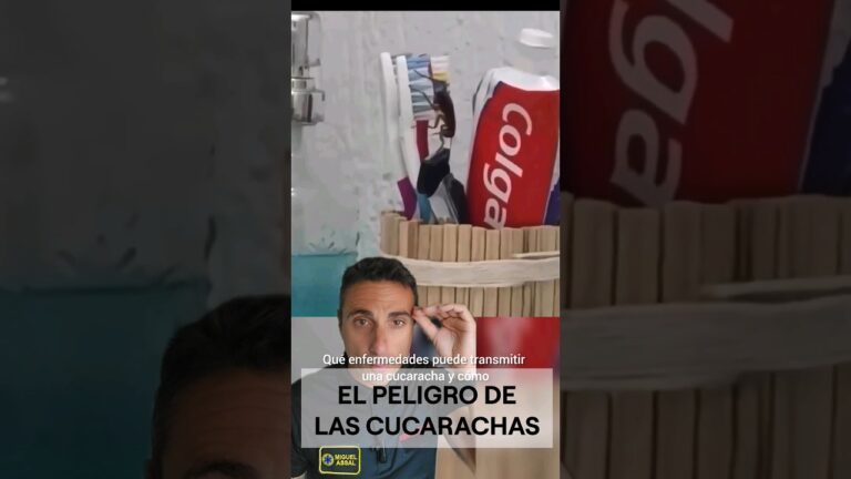 cómo se llama la fobia a las cucarachas