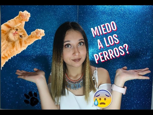 cómo se llama la fobia a los perros
