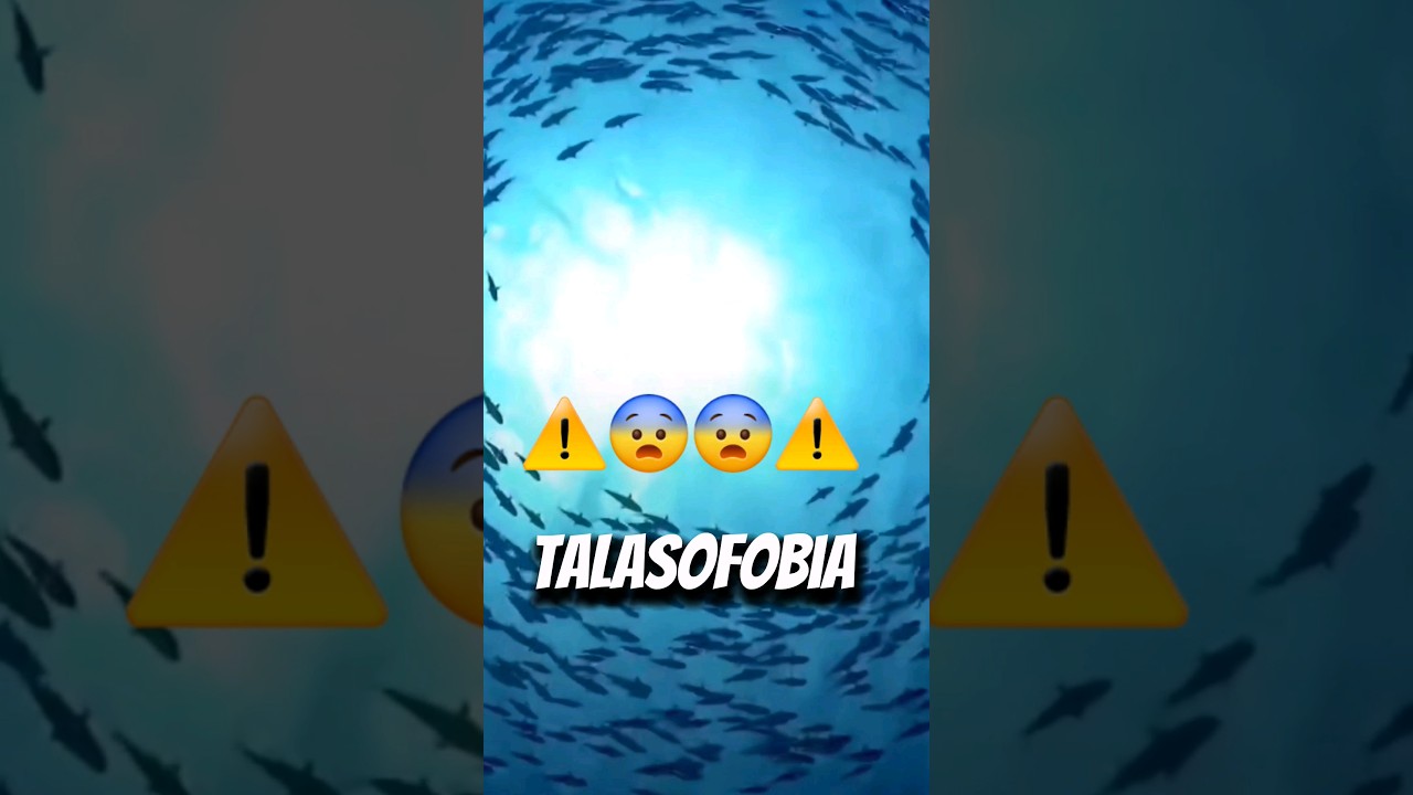 como se llama la fobia al mar