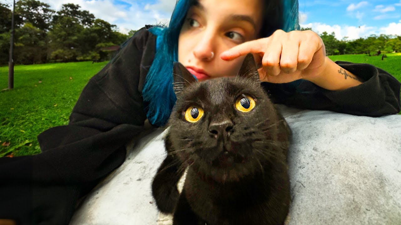 cosas q dan mala suerte