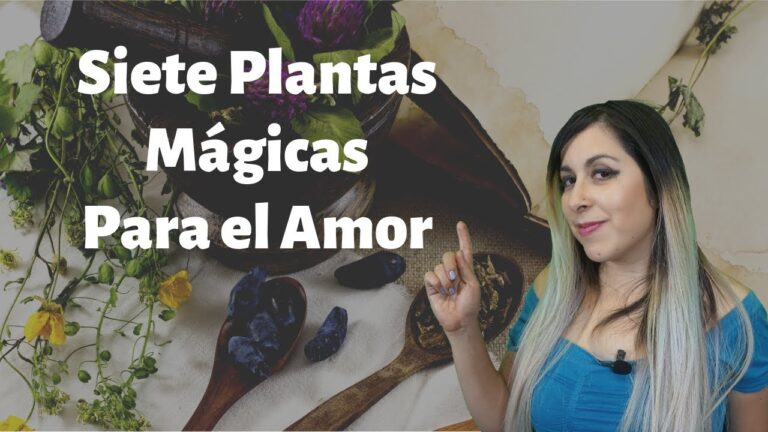 cual es la planta del amor
