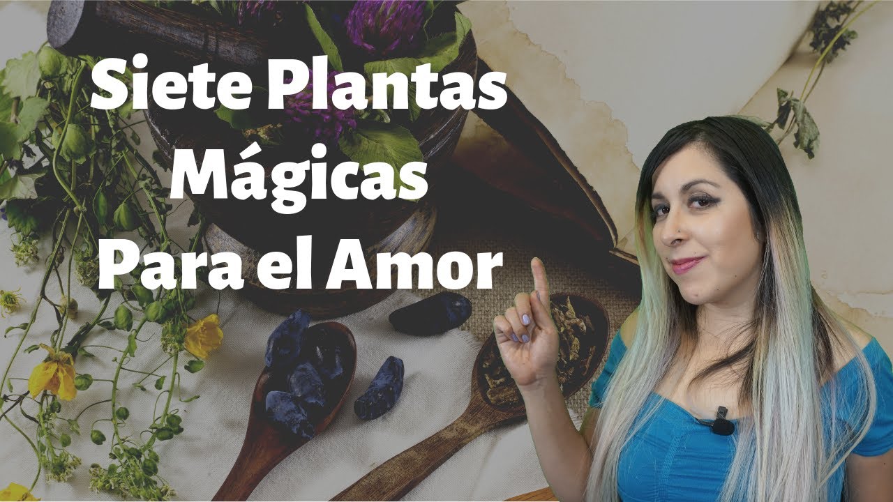cual es la planta del amor