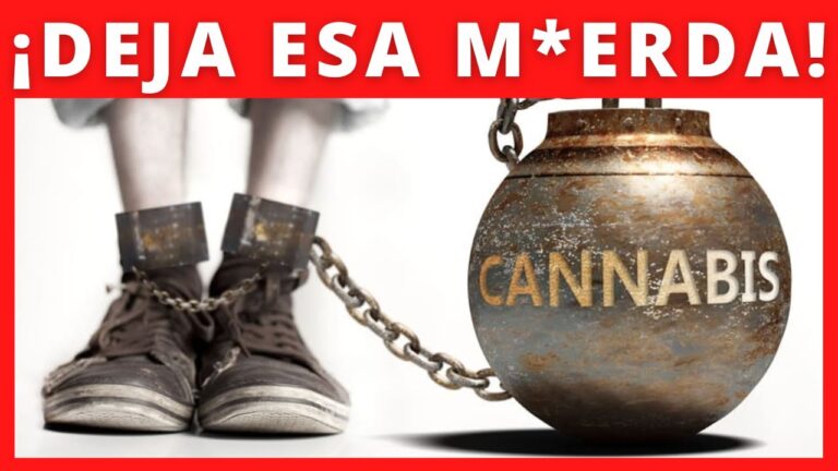 cuanto dura el mono de los porros