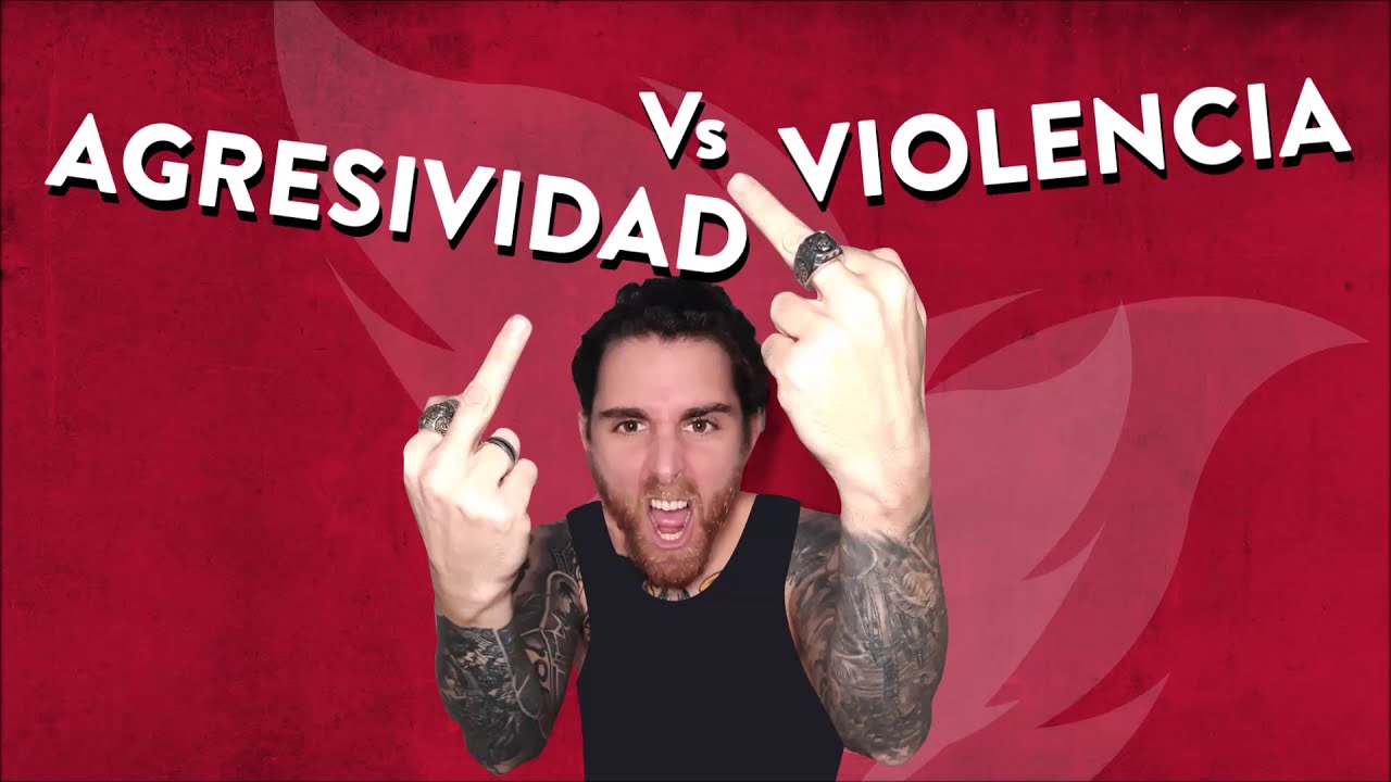 diferencia entre agresividad y violencia