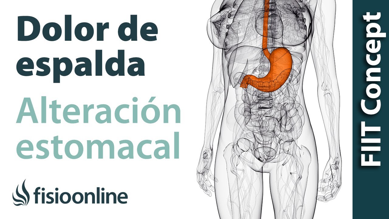 dolor en el estomago y la espalda
