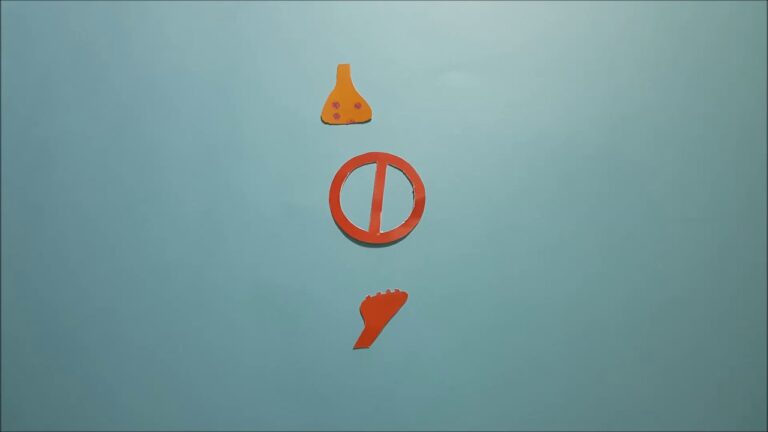 efectos de la cocaina en el cerebro