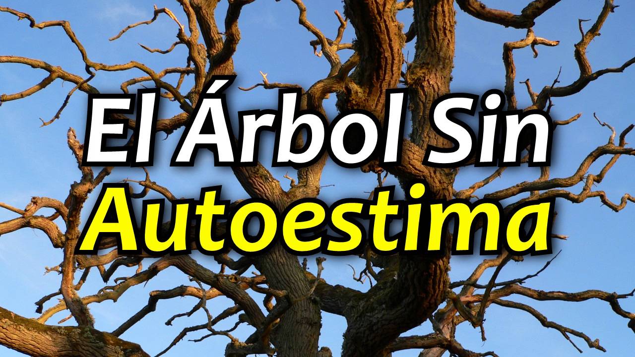el arbol de la autoestima