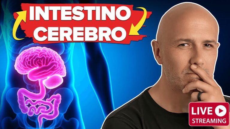 el estomago y la ansiedad