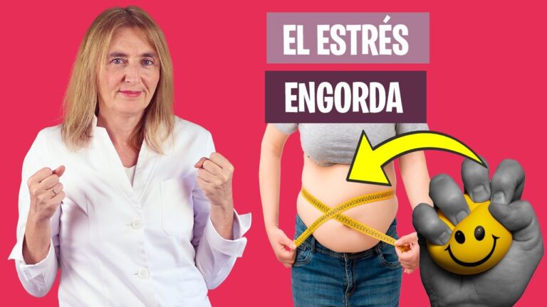 el estrés engorda la barriga