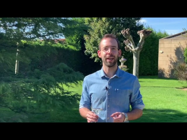 el marido de mi amiga vino