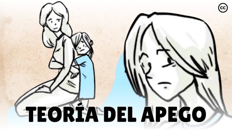 entender y evaluar el apego
