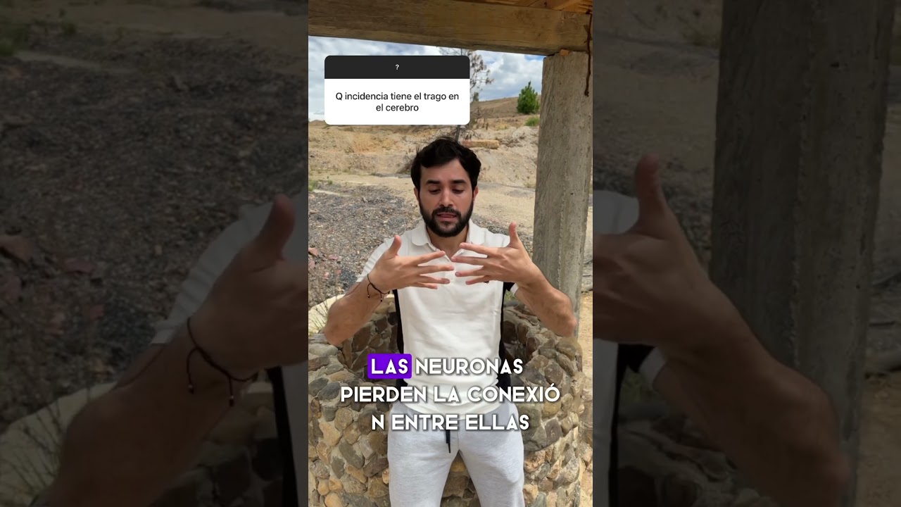 fase de la demencia por alcoholismo