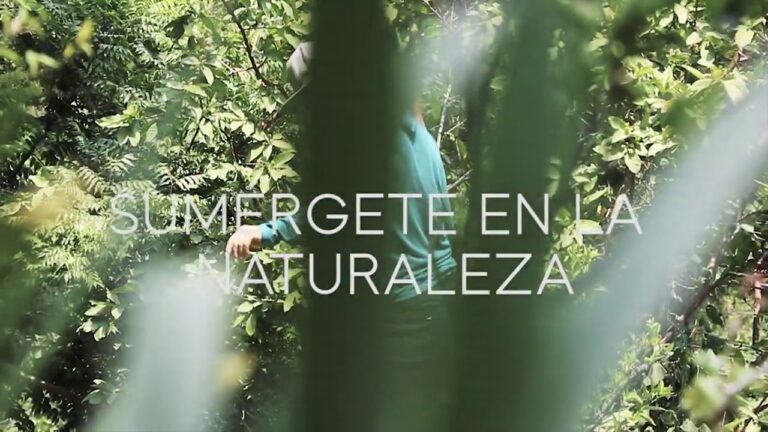 fin de semana de retiro