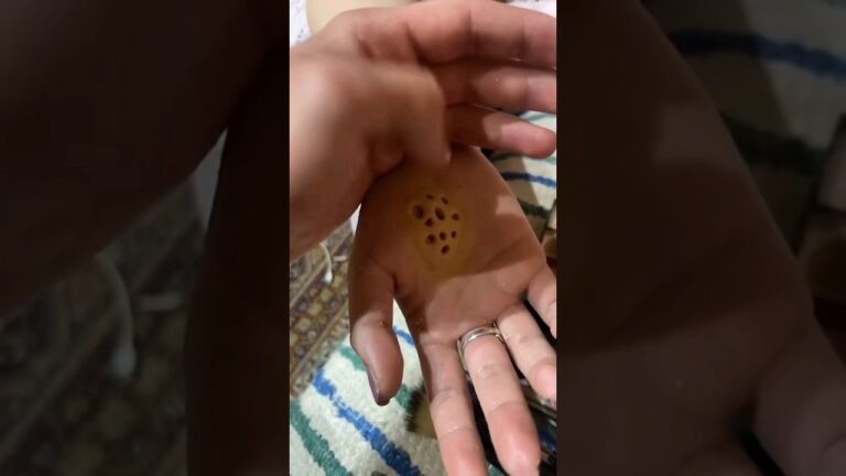 fobia a los patrones tripofobia