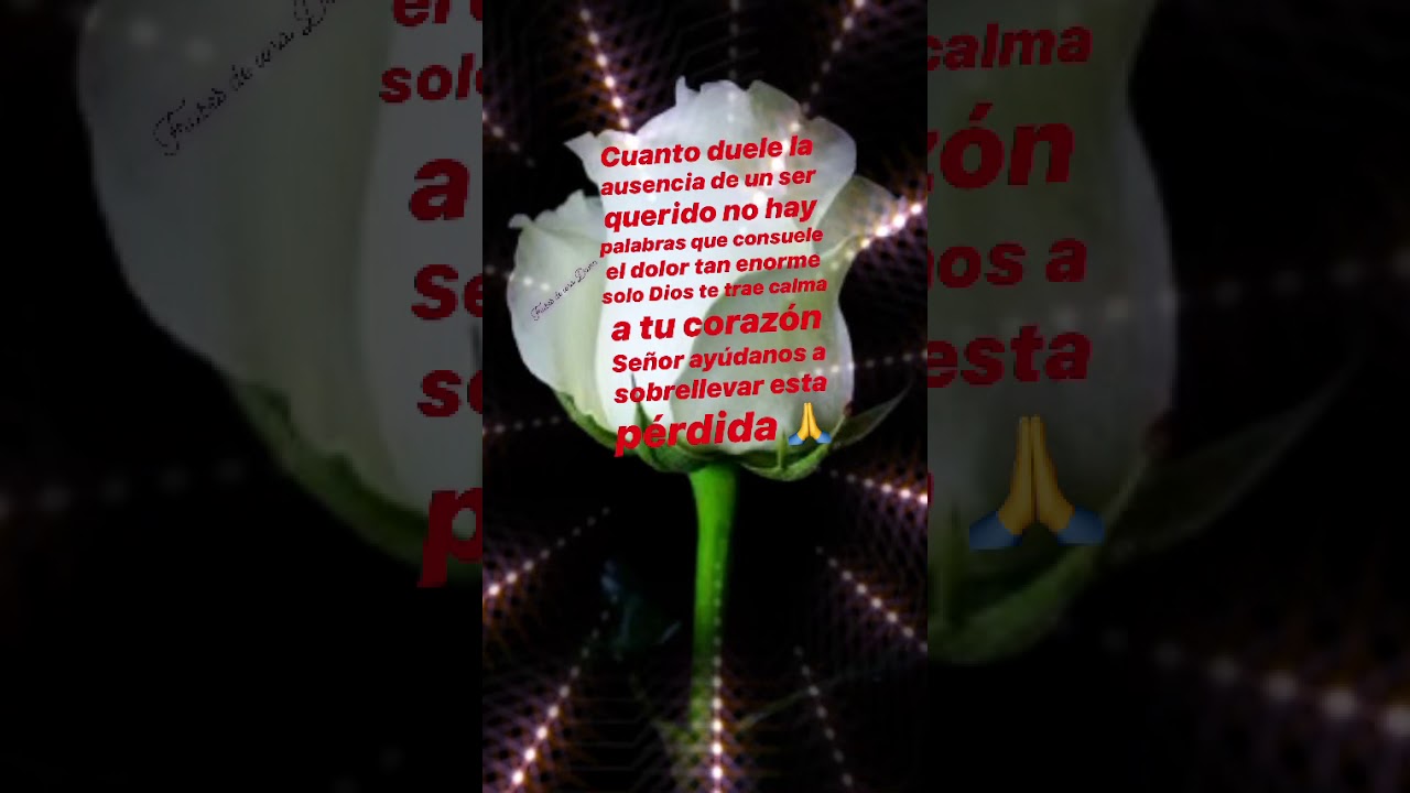 frases de perder a alguien