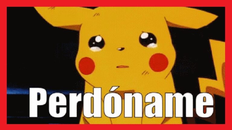 frases para pedir perdón cortas