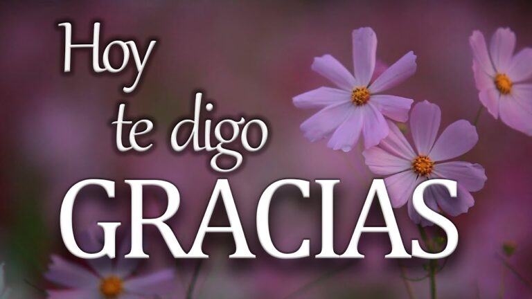 gracias por tu amistad frases