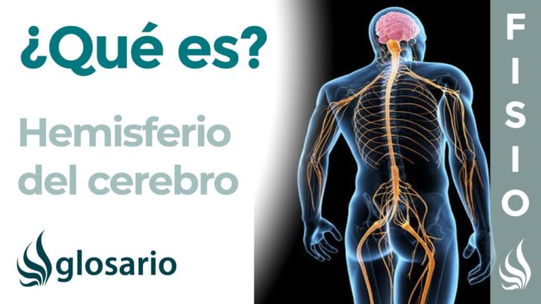 hemisferio derecho del cerebro funciones