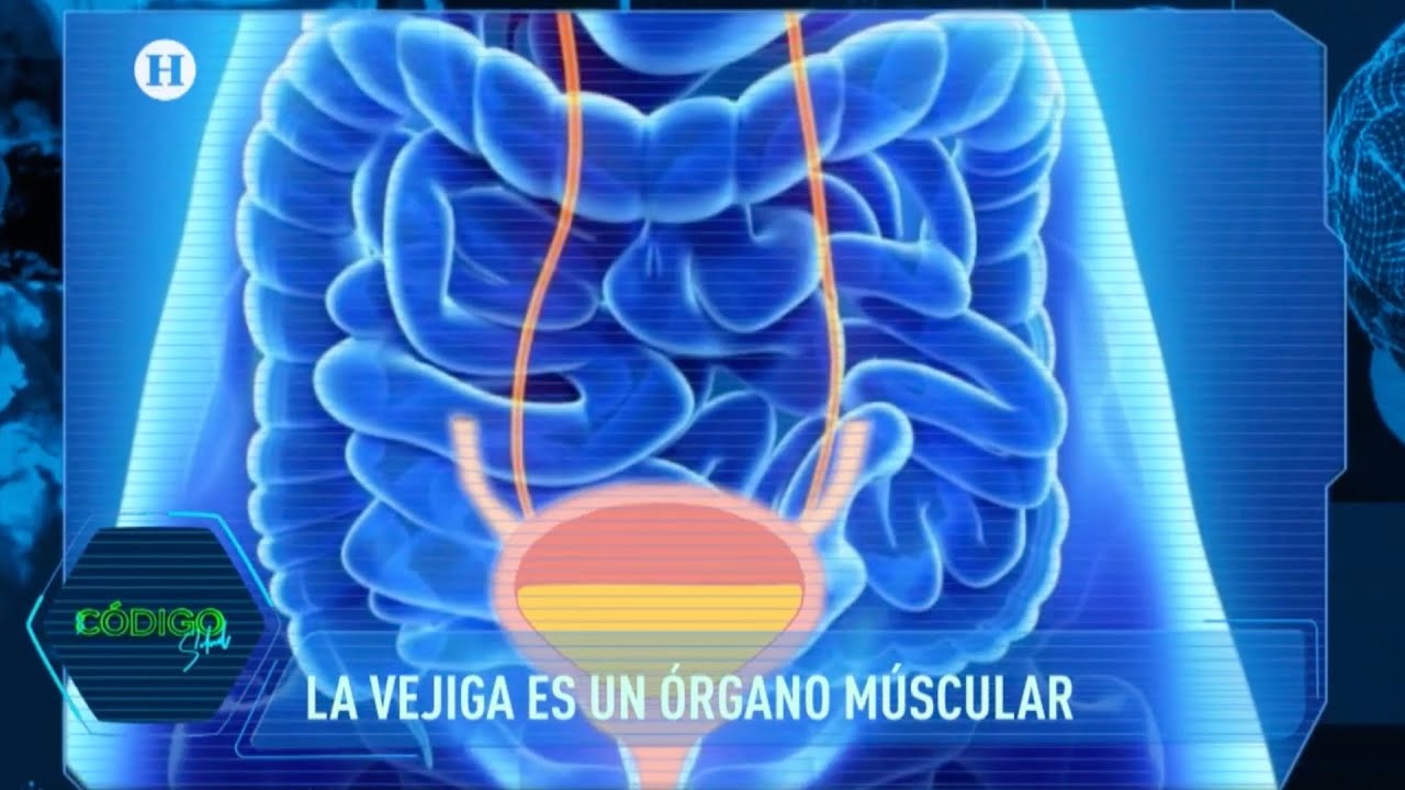 infección de orina por estrés