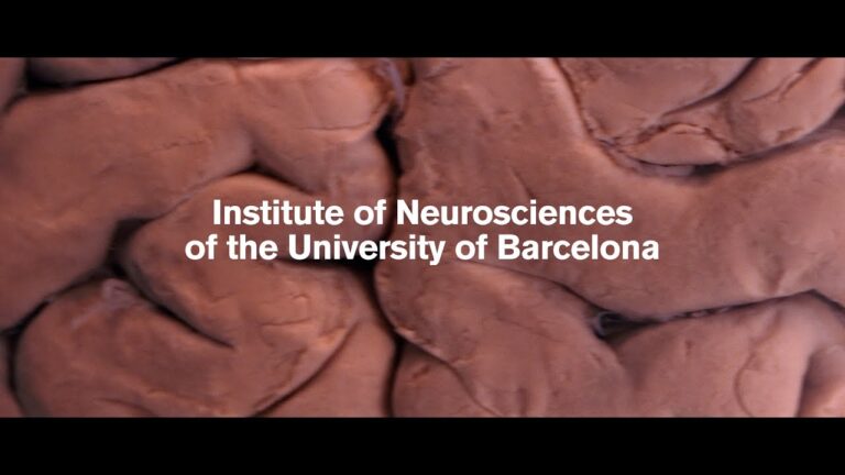 institut barcelona de psicologia barcelona