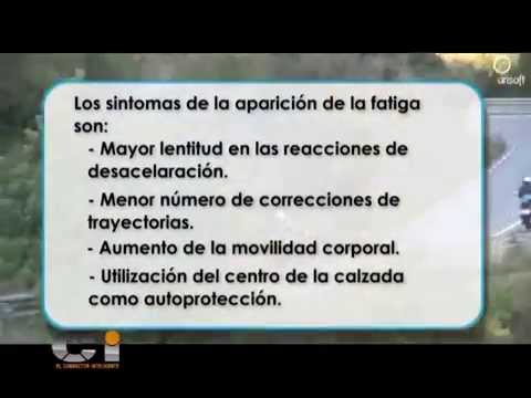 la fatiga durante la conducción produce