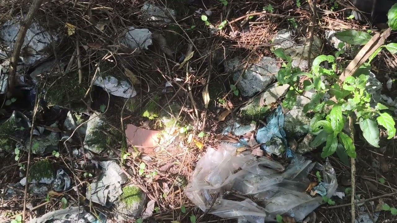 la madriguera espacio de apoyo familiar