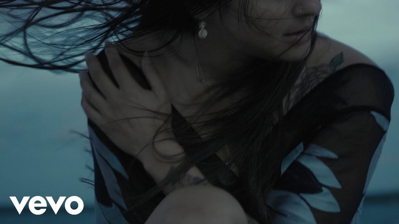 la rueda de las emociones