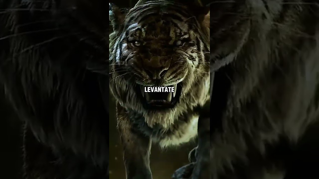 la vida es dura frases