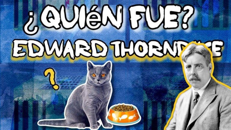 ley del efecto de thorndike