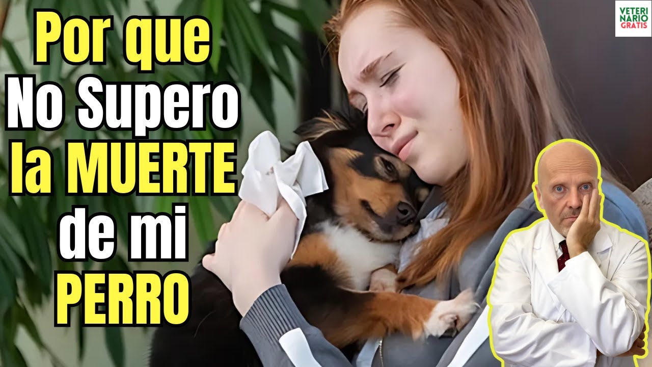 no supero la muerte de mi perro