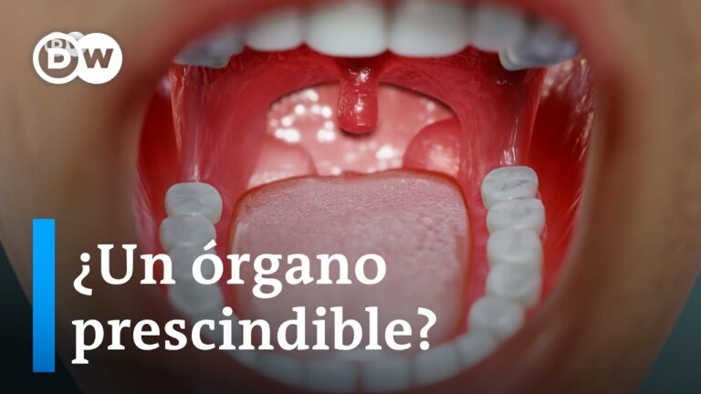 para que sirven las amígdalas