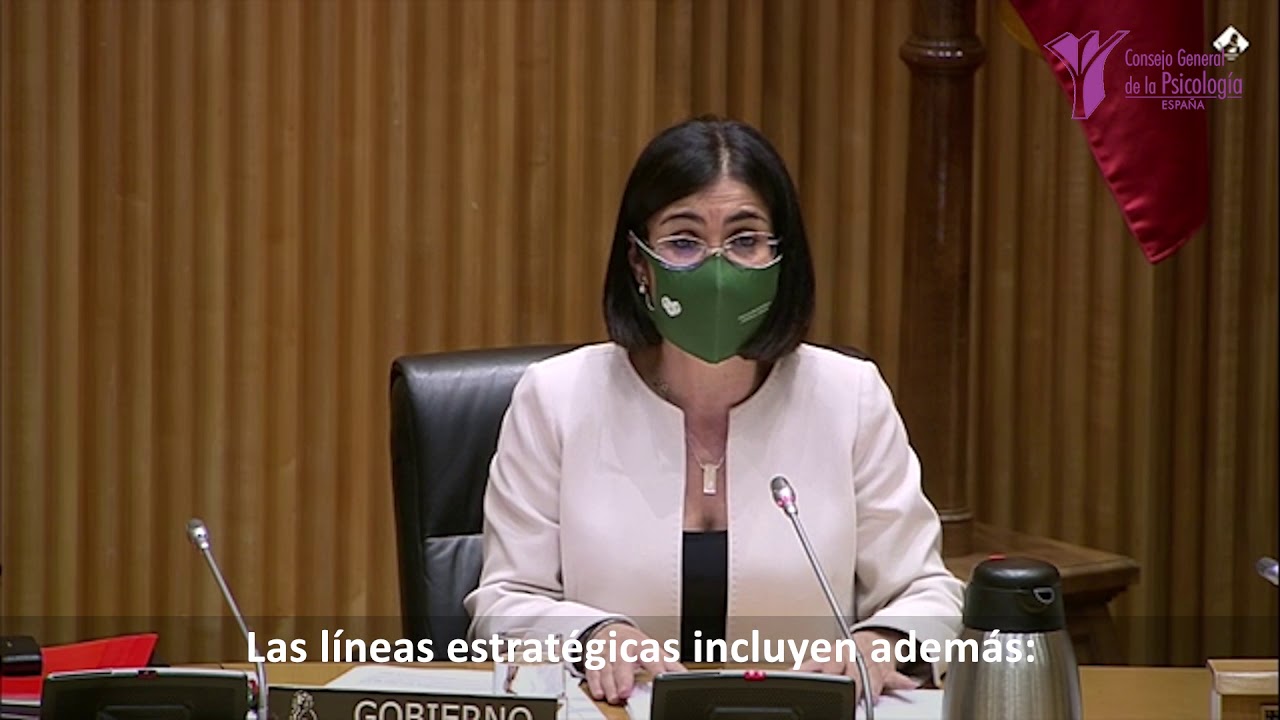 plan de accion salud mental