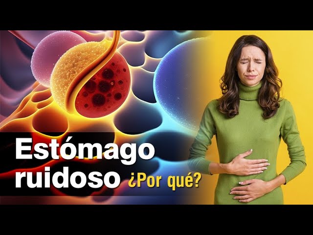 por qué me suena tanto el estómago