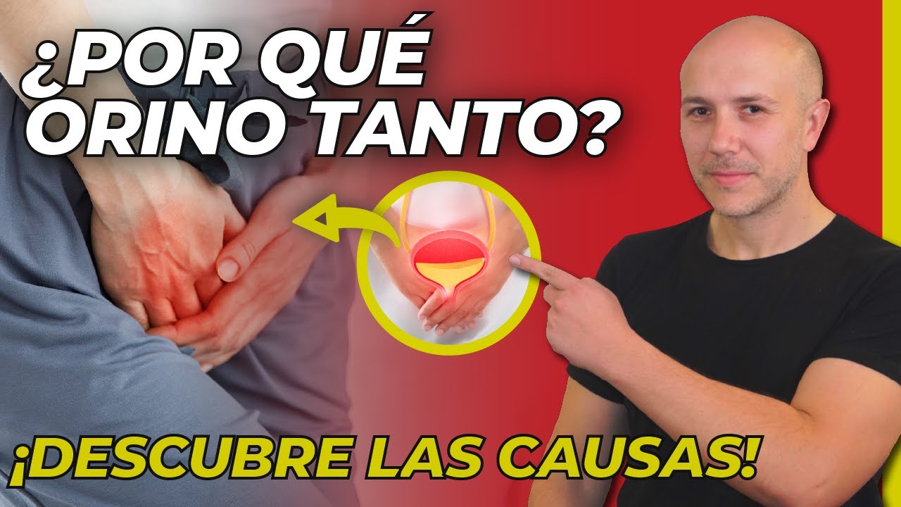 porque tengo ganas de mear todo el rato