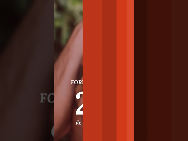 psicologa vilanova i la geltru