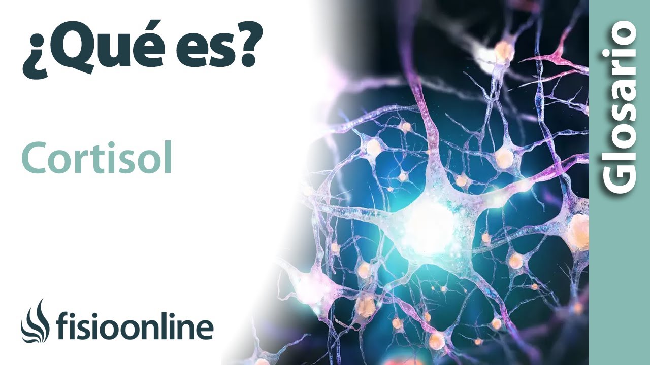 que es el cortisol en el cuerpo humano