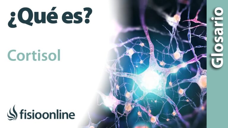 que es el cortisol y como bajarlo