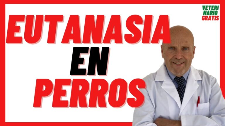 que hace el veterinario cuando muere un perro