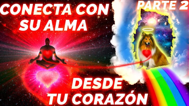 quiero conectar con mi perro fallecido