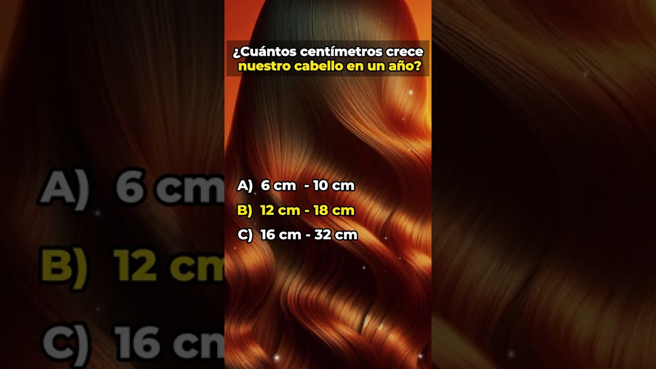 relativo al organo donde se desarrolla el feto