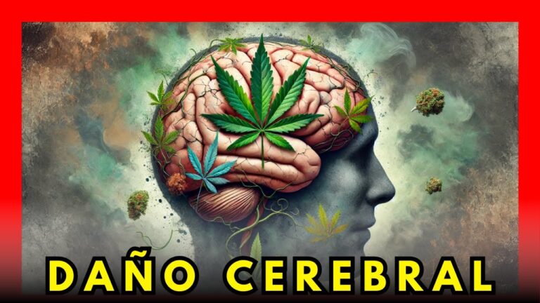se recupera el cerebro de los porros