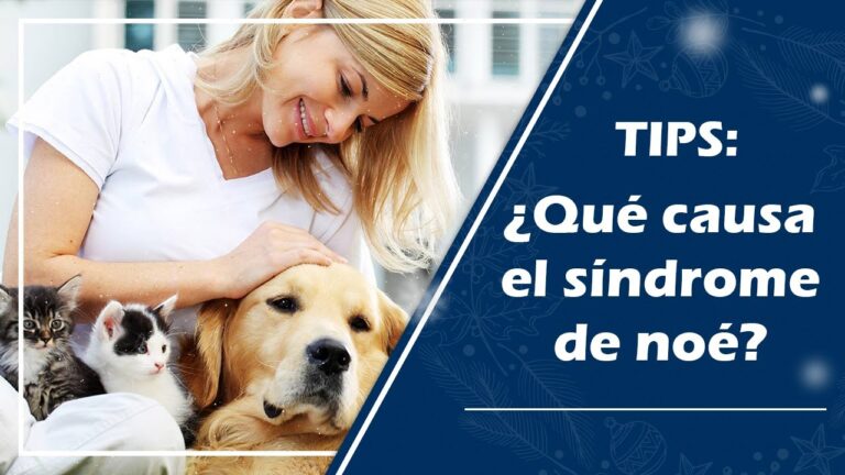 sindrome de noe en perros
