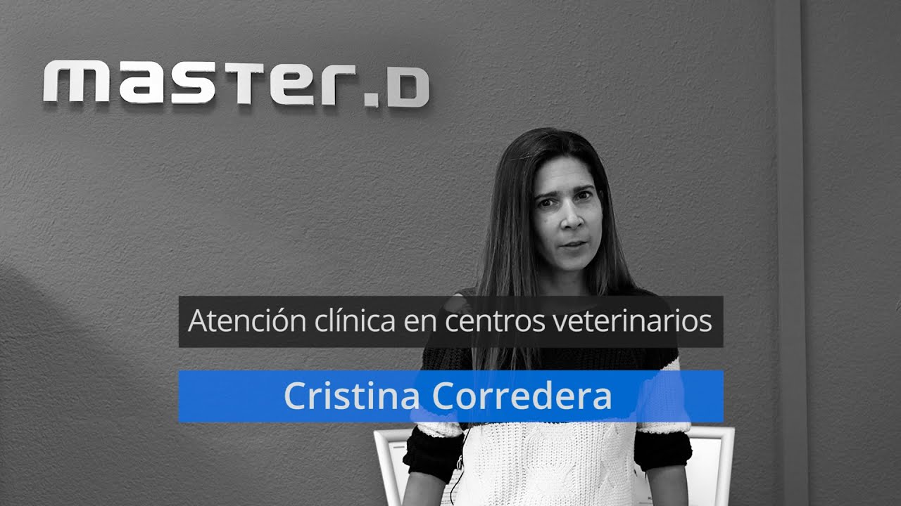 trabajos con animales sin estudios