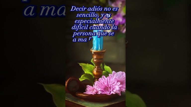 tristeza bonitas despedida frases de luto